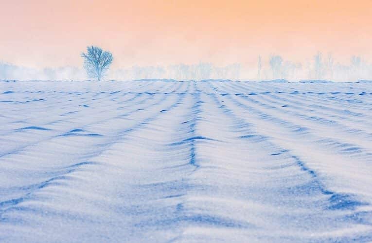 Na území Jihočeského je vyhlášen kalamitní stav, napadlo až 75 cm sněhu