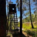 285861512_161027849735885_5504684323814734556_n