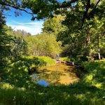 285885720_161028066402530_4263783141983183005_n