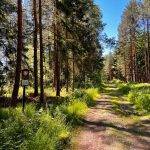 285909996_161028039735866_7495374232499902936_n