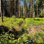 286006139_161027839735886_4824902280416644352_n