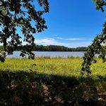 286114989_161028013069202_6080520238516302208_n