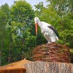 Stezka čápa Vodňana v Zátiší