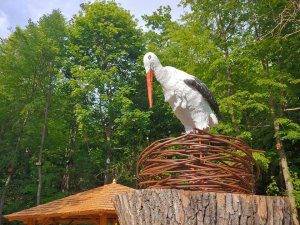 Stezka čápa Vodňana v Zátiší