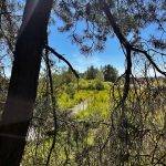 AC994F62-CEE8-4026-A503-3BD662F1ADEE