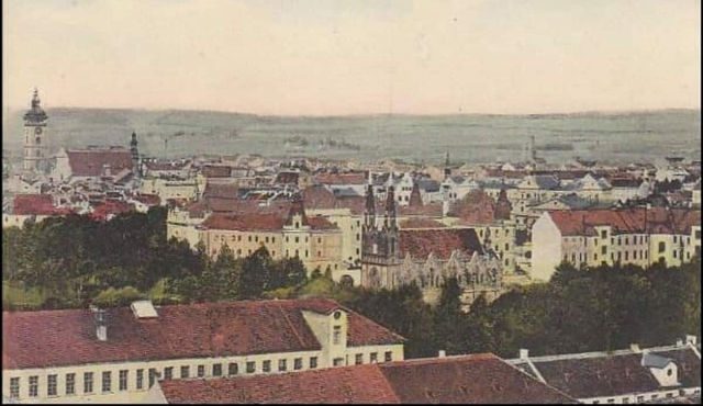 Pohled-na-město-od-jihu-s-bývalou-synagogou-jednou-z-největších-ve-střední-evropě.-Rok-1913.