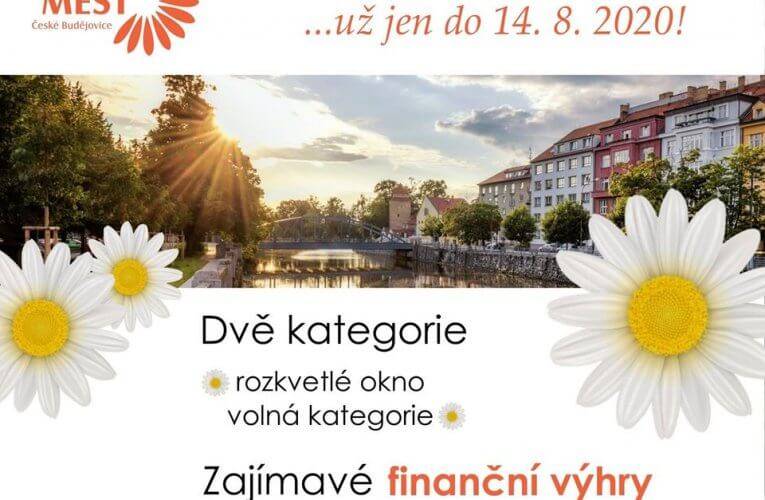 Soutěž Rozkvetlé město 2020