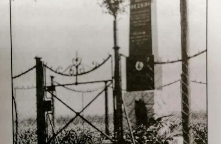 Pomník parašutisty se vrátí na Branišovskou