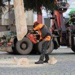 strom prijezd 2020 1