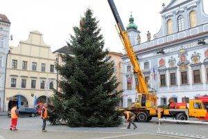 strom prijezd 2020 2