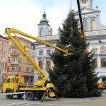 strom prijezd 2020 3