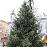 strom prijezd 2020 4