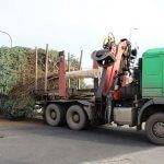 strom prijezd 2020 5