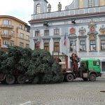 strom prijezd 2020 7