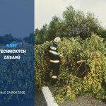 hasici prehled 2020 7