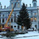 vaocni strom odvezen 2