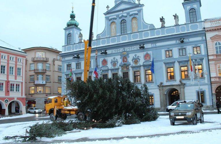 Nejkrásnější vánoční strom v České republice byl dnes odvezen