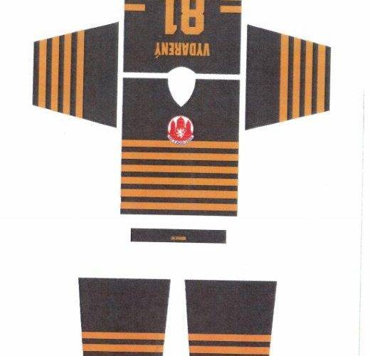 Hokejisté si připomenou mistrovský titul ve speciálních dresech