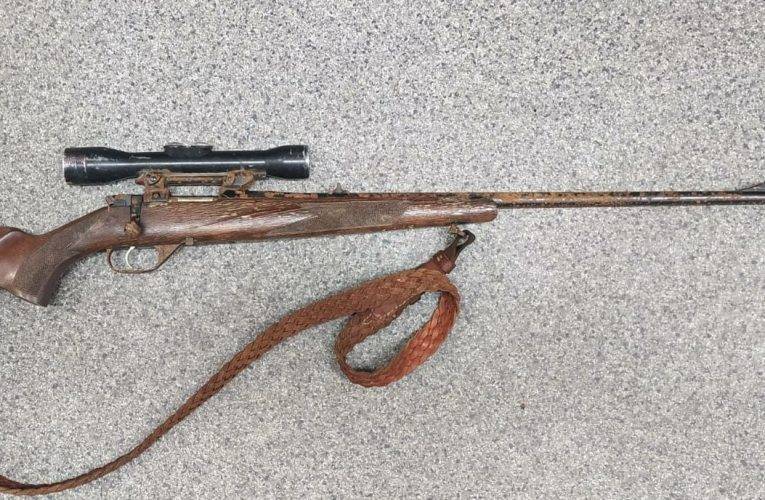 Myslivec našel ztracenou kulovnici v prostoru Boletic. Jelen loni utekl se zbraní