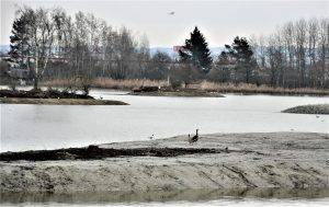 vrbenské rybníky 2-min