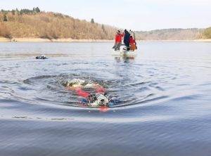 Nález lidských ostatků 5