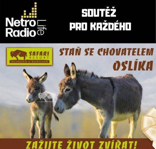 Na NETRO Life Radiu můžete soutěžit jak se stát chovatelem oslíka