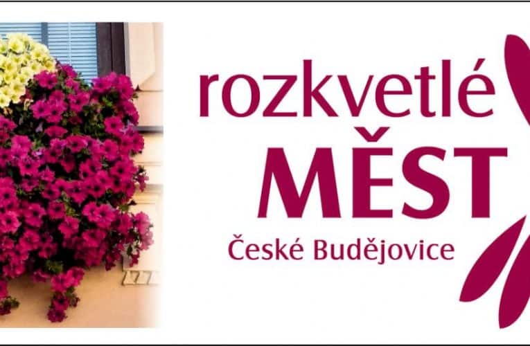 Soutěž Rozkvetlé město 2021 se uskuteční i letos