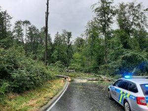 Strom spadl cizova 2