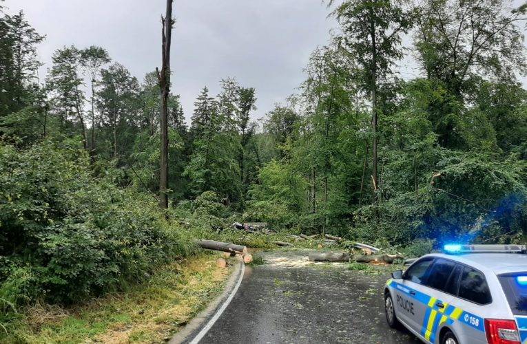 Nedaleko Čížové spadl strom na automobil a usmrtil dvě osoby, dvě děti byly převezeny do nemocnice