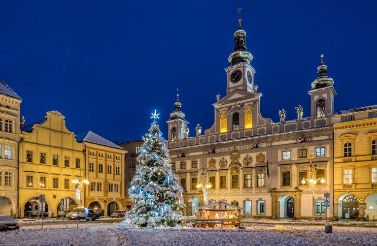 Na budějovickém náměstí bude letos stát stoletý vánoční smrk