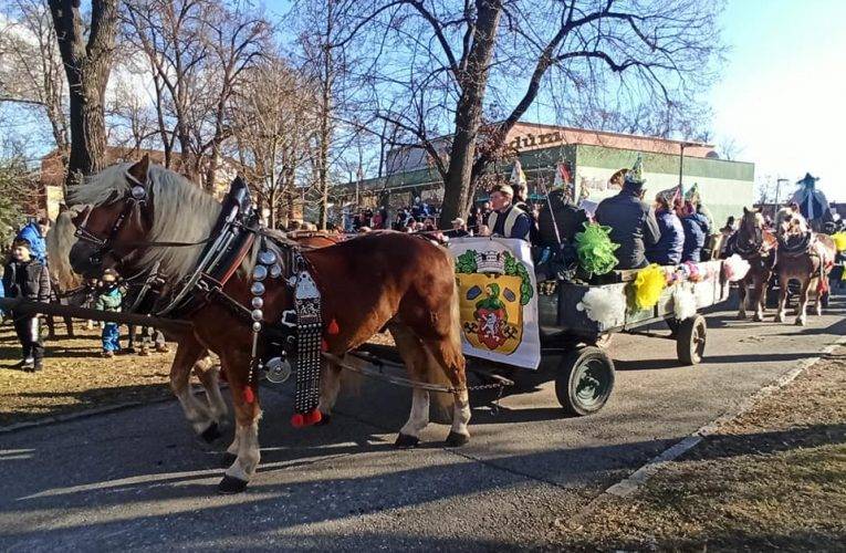 Video: Ve Vodňanech se konal masopustní průvod