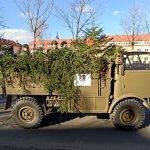 273948726_10219551608250839_3285062595972343939_n