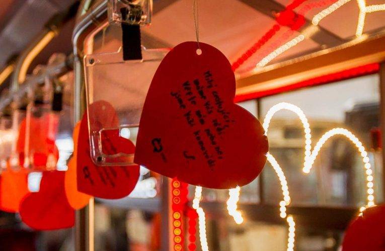 Statistika jmen Valentýn, Valentýna narozených v Českých Budějovicích