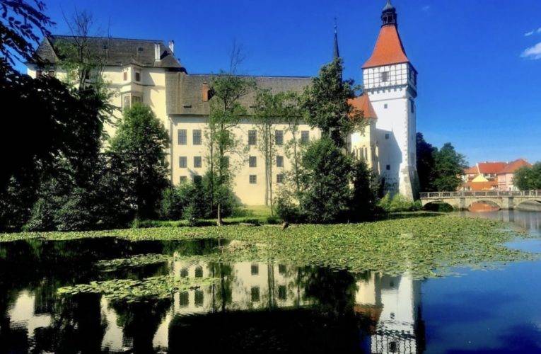 Zámek Blatná – do zámeckého parku přivítají nové členy ze zvířecí říše