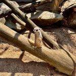 242927DC-26B7-4F13-84D4-B5BC6740B1FC