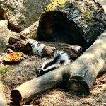 93585F5F-645B-4420-A3E1-85187B274825