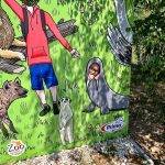 B77C92A0-945F-4393-A9BA-661FB153B65B