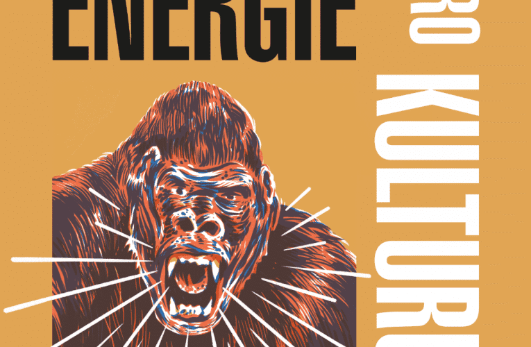 Festival Energie pro kulturu i letos míří do Českých Budějovic