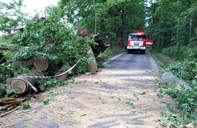 Rychlý a místy prudký déšť se přehnal v pátek ve večerních hodinách přes Jihočeský kraj