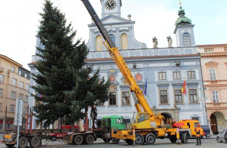 Letošní vánoční strom bude z Jílovic