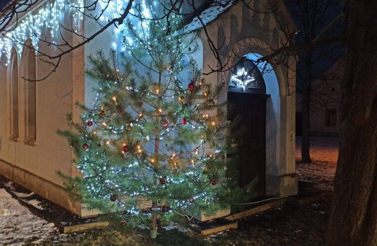 Hledáme nejkrásnější vánoční stromeček na Budějovicku a okolí roku 2022