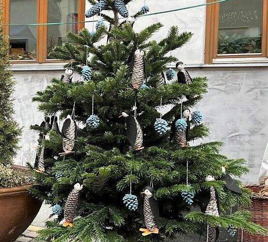 Nejhezčí vánoční stromeček vystrojily děti z MŠ Čéčova