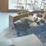 NP_výtržnictví_(1) (1)