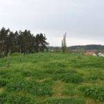 Hradiště rozhledna 5