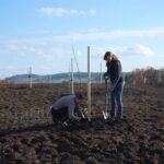 Hradiště rozhledna 7