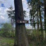 ukazatel naučné lesní stezky