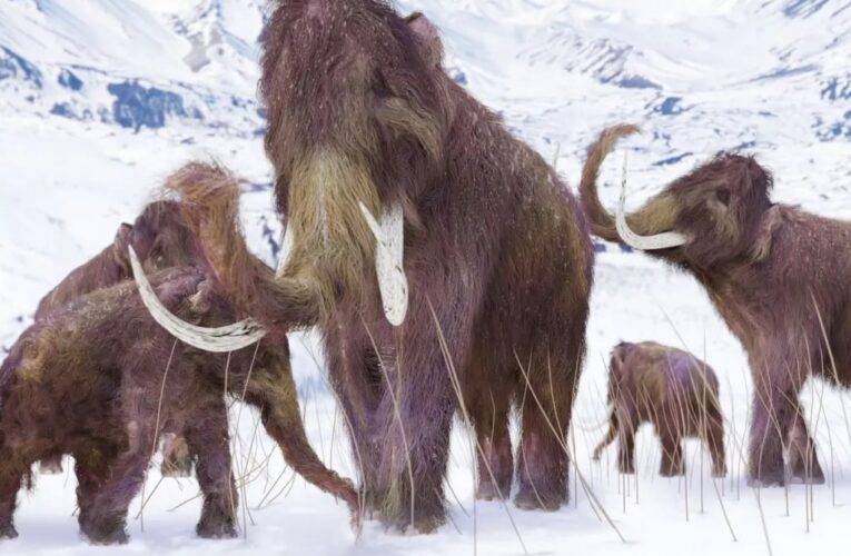 Soutěž o lístky na výstavu Doba ledová