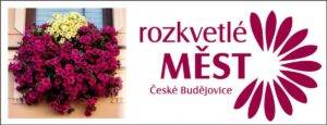 rozkvetle mesto