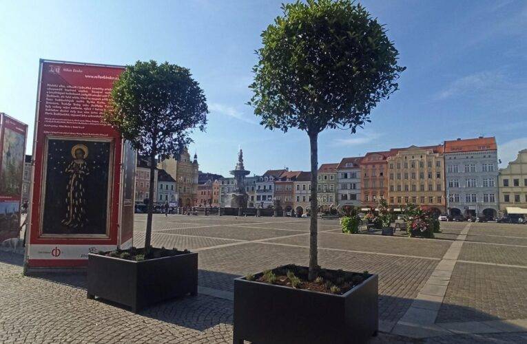 Náměstek primátorky poděkoval za stromy na náměstí