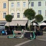 stromy na namesti 7-min